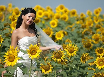 Foto Studio Enigma Nunta Sibiu